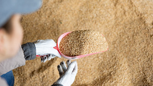 อาหารสัตว์ราคาถูกขายดี ผงถั่วเหลืองหมักเกรดอาหารสัตว์ โปรตีน 65% คุณภาพสูง โปรตีน 72% บรรจุภัณฑ์ 20 กก. - สำหรับอาหารสัตว์ปีก - Product Image 6