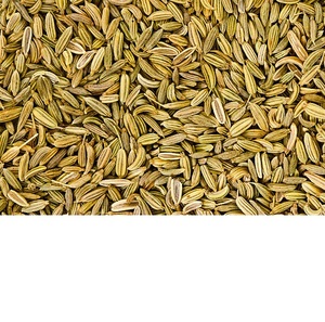 Semillas de hinojo natural 100% | Grado alimenticio | Suministro a granel de La India - Product Image 3