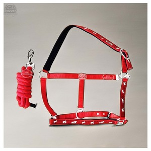 Vente en gros de licous en nylon avec corde de plomb assortie toutes les couleurs avec raccords SS gravure sur sangle vente en gros - Product Image 1