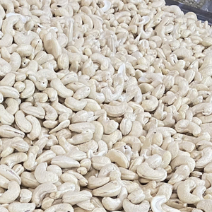 Gran oferta de exportación de anacardos crudos congelados W320 Vietnam SANTIGO 2 años de vida útil embalaje con etiqueta privada disponible - Product Image 1