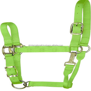 Licou de cheval en Nylon multicolore de luxe dans toutes les tailles et couleurs personnalisées avec double couture matelassée et quincaillerie en laiton plaqué sans rouille - Product Image 1