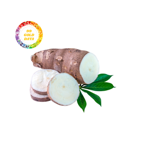 Racine de manioc congelée de qualité supérieure pelée et propre de l'usine du Vietnam approvisionnement alimentaire en vrac disponible - Product Image 2