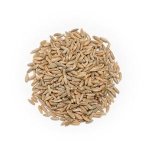 Grains de seigle en gros approvisionnement en vrac avec qualité d'exportation internationale - Product Image 2