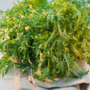 Chicorée d'endives de qualité supérieure: les légumes à feuilles amères les plus vendus disponibles en gros chez les grossistes - Product Image 3