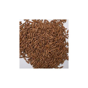เปลือกสนธรรมชาติสำหรับใช้เป็นอาหารถั่วสนแห้ง100% จากธรรมชาติ - Product Image 1