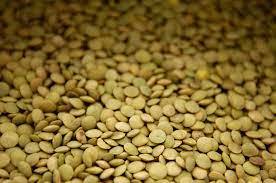 Lentilles vertes séchées, paquet de 25 kg, provenance Belgique - Product Image 6