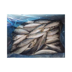 ปลาแมคเคอเรลแช่แข็งแบบพรีเมี่ยมสำหรับใส่อาหารกระป๋องปลาทะเลแช่แข็งทั้งตัว - Product Image 3