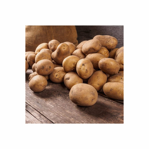 Patate douce fraîche de haute qualité patate douce Offre Spéciale igname violette nouvelle récolte patate douce avec package prix bas d'usine