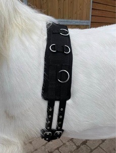 Circonférence de Dressage de haute qualité pour chevaux Durable néoprène Nylon bande fer boucles cuir matériel frotter modèle International 7860B - Product Image 4