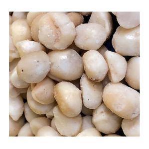 Granos de Macadamia crudos de alta calidad, nueces de Macadamia tostadas - Product Image 2