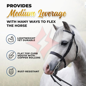 Corrección de acero inoxidable de vástago corto, broca de caballo, calzones, entrenamiento de caminata occidental, broca equina para caballos, caballo de calidad superior - Product Image 4