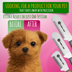 Flamia esencial Mango Verde grande madera respetuoso con el medio ambiente perro pelar Terriers peine eficaz herramienta de aseo para mascotas - Product Image 3