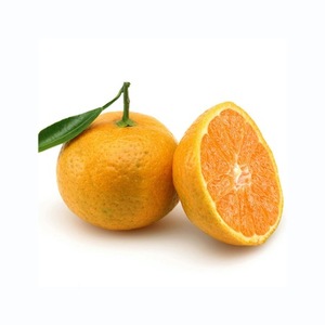 DULCE FRESCO DULCE NARANJAS VENTA - Product Image 6