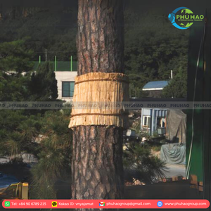 เสื่อ sedge ทำจากเวียดนามสำหรับสิ่งทอในบ้านที่เป็นมิตรกับสิ่งแวดล้อมและโซลูชันการใช้ชีวิตที่ยั่งยืน - Product Image 6