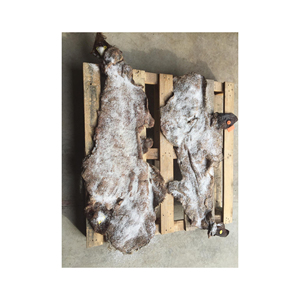 Peaux de tête de vache salées humides de la meilleure qualité, peaux de tambour entièrement fraîches - Product Image 5