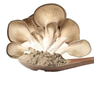 Natural Mushroom Powder Pure Oyster Mushroom Extract Powder at Best Price from Indian Suppliers