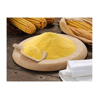 Amidon de maïs de haute qualité/amidon de tapioca Farine de maïs sans gluten Amidon pour la qualité alimentaire