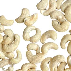 Fabrication du Vietnam Noix de cajou brutes Noix de cajou brutes 2024 Noix de cajou entières en gros exportées vers l'Asie, l'UE, le Moyen-Orient - Product Image 1