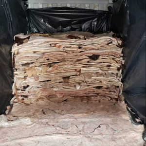 Wholesale Supplier of Bulk Stock of Raw Wet Salted and Dried Cow Leather / Hides / Skins Fast Shipping - Product Image 5