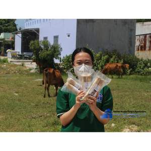 Artículo popular Huesos de perro naturales Juguetes para masticar perros Palo de madera de café para perro Hecho en Vietnam - Product Image 3