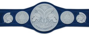 Ceintures de championnat de lutte Trophées Médailles et récompenses le symbole ultime de la victoire et de l'excellence Ceintures de championnat - Product Image 4