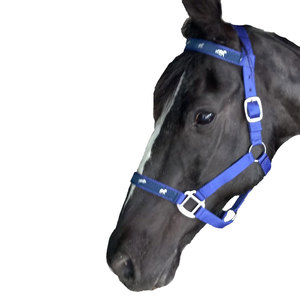 Licol de cheval en nylon de qualité supérieure pour une conduite confortable, licol d'équitation en nylon réglable avec mors et rênes - Product Image 2