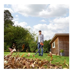 BEBLV290 QS Aspirateur à feuilles électrique 2900W avec souffleur, outil de jardinage manuel - Product Image 2