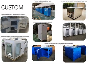 Mini congelador de carga móvil personalizado, unidad de refrigeración de CC, enfriador translúcido automático de gasolina, condición de remolque de coche, nuevo - Product Image 2