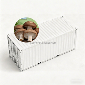 Serre conteneurisée pour la culture de champignons, système de culture automatique, équipement d'agriculture intelligente, usage commercial - Product Image 6