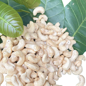 Fábrica de Vietnam Anacardos tostados Anacardos vietnamitas Ww180 Ww240 Ww320 Cliente OEM ODM Requisito - Product Image 1