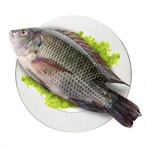 Venta Al Por Mayor De Tilapia pesce cibo intero tondo 1 kg/bag 200g pesce congelato Tilapia nero per la vendita