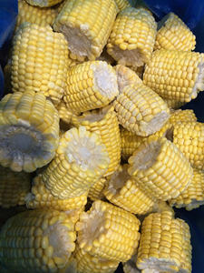 Granos de maíz congelados dulces y jugosos, perfectos para mezclas de verduras congeladas y productos de comida preparada - Product Image 4