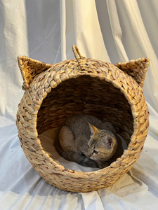 Caliente nueva llegada gato ecológico hogar hecho a mano plegable ratán multifunción cestas de almacenamiento para estilo comodidad sostenibilidad - Product Image 2