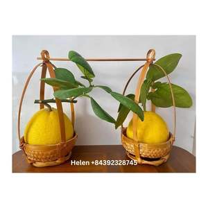 Wholesale Best Price Mini Bamboo <b>Basket</b> with Handle Vietnam Traditional <b>Baskets</b> Custom bamboo kitchenware winnowing <b>basket</b> - Product Image 1