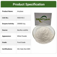 Poudre d'enzyme Amylase de qualité alimentaire 200000 U/g pour la boulangerie et la brasserie
