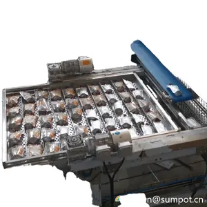 Fully Automatic Pouch Loader Pouch Palletizer 90 Pcs Per Minutes Handling Equipment For Multiple Types Of Packages