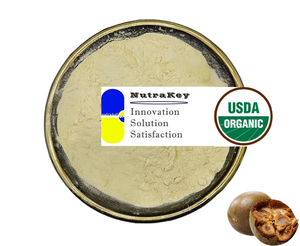 Extrait de fruit de moine biologique certifié avec 25% Mogroside V naturel, édulcorant de haute qualité pour les producteurs mondiaux d'aliments et de boissons - Product Image 3