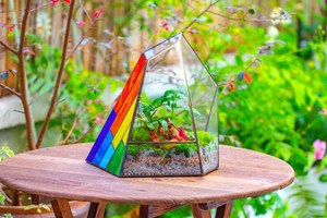 Terrarium artisanal en verre teinté arc-en-ciel, forme gé<span class=keywords><strong>om</strong></span>étrique irrégulière en forme de crête de glace, expédié dans le monde entier - Product Image 6