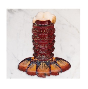 Langostas Congeladas de Nueva Zelanda, Frescas, Premium, Capturadas en el Silvestre, Exportación Directa, Suministro a Granel - Product Image 2