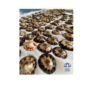 Coquillages de bébé pour l'allaitement, artisanat de coquillages de limette pour soutien-gorge, fabriqué au Vietnam, matériau organique, lotus bleu sculpté +84 767 550 132 - Product Image 1
