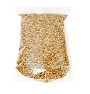 Protein cao vàng đông lạnh mealworms cho vật nuôi chim thực phẩm động Vật Lưỡng Cư thủy Feeder và câu cá mồi đóng hộp