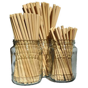 Eco2go Vietnam Eco-friendly Reusable Disposable Bamboo <b>Drinking</b> <b>Straw</b> Set With Logo with High Quality - Product Image 3