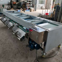 Blauwe bes sorteermachine, gewichts- en sorteermachine voor industriële blauwe bessen, groente sorteermachine op basis van formaat