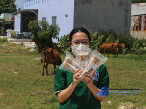 Hot Seller Natural Dog Bones Jouets à mâcher pour chiens d'une usine vietnamienne en gros - Product Image 4