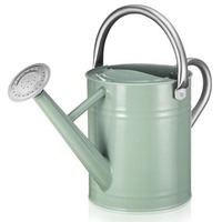 Arrosoir en métal conçu par des experts, capacité écologique de 1,5 L pour les jardiniers urbains - Fonctionnalité, beauté, fabrication artisanale, durabilité