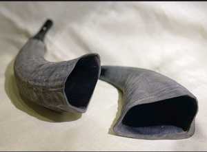 Trompette à cor d'animal cérémoniel - Product Image 4