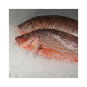 Poisson rouge entier surgelé frais, meilleur prix de gros sur le marché - Product Image 1