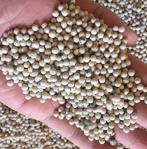 Giá tốt nhất xuất khẩu bán buôn duy nhất gia vị & các loại thảo mộc tiêu đen 500gl 550gl 580gl tiêu trắng 630gl Poivre NOIR/Anna làm - Product Image 1