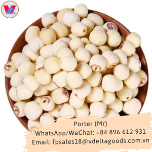 Hierbas naturales para la comida segura, semillas de loto para parchear, son de color blanco lechoso al cocinar, comida muy nutritiva para vegetales, vacaciones - Product Image 6