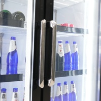 Réfrigérateur-congélateur vertical commercial portable avec compresseur pour la présentation de boissons en supermarché et hôtel
